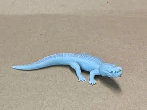 Alligator Walking