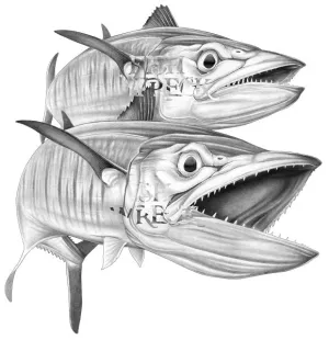 Dual Spanish Mackerel Boat Decals, Fishing Stickers