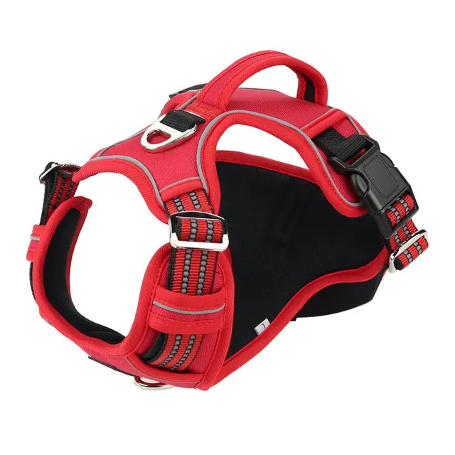 Durable Reflective Harness (No Pull)