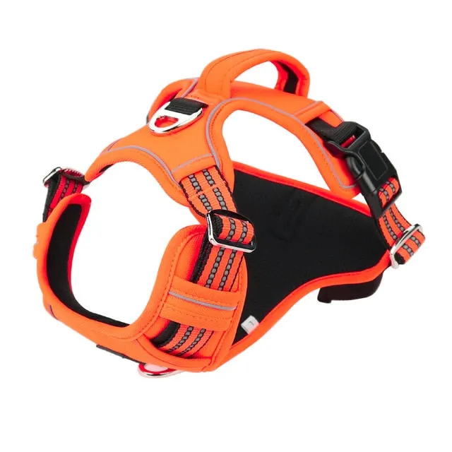 Durable Reflective Harness (No Pull)