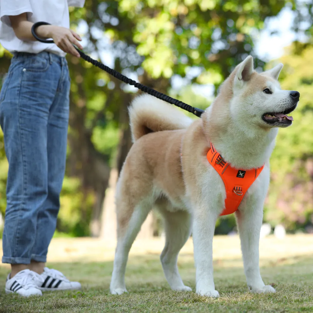 Durable Reflective Harness (No Pull)