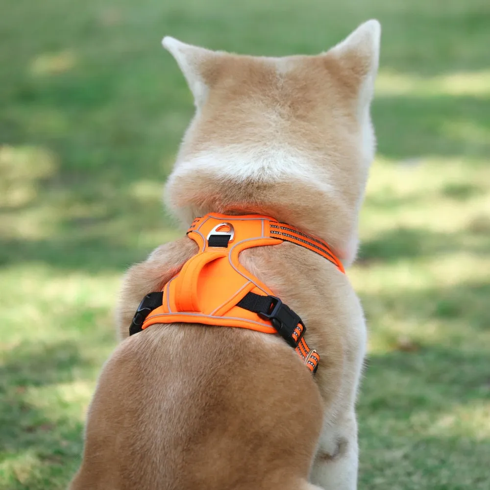 Durable Reflective Harness (No Pull)