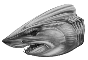 Mako Head Boat Graphic