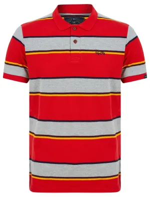 Nova Striped Cotton Pique Polo Shirt in Barados Cherry - Tokyo Laundry