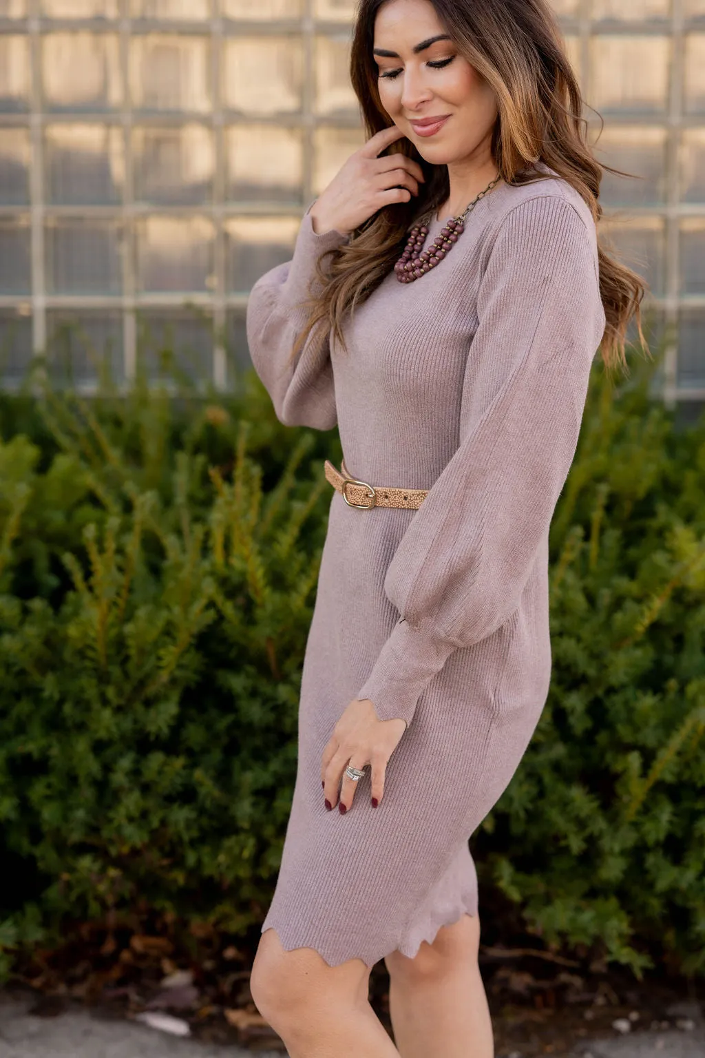 Scalloped Trim Ribbed Sweater Dress